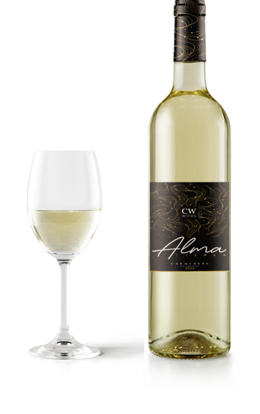 GRAN RESERVE CHARDONNAY