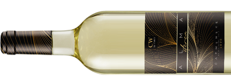 white-bottle-171
